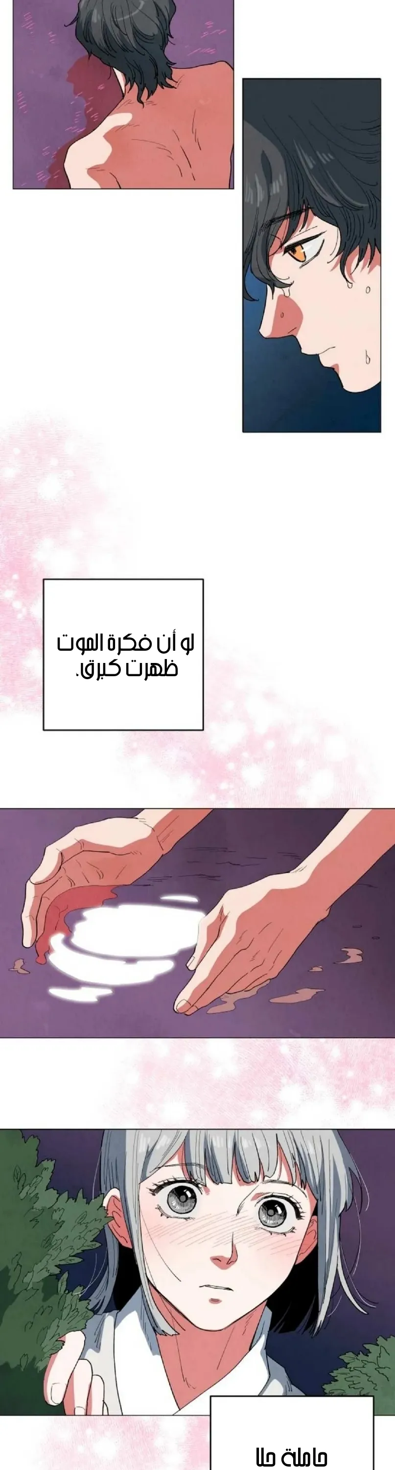 الصفحة 27