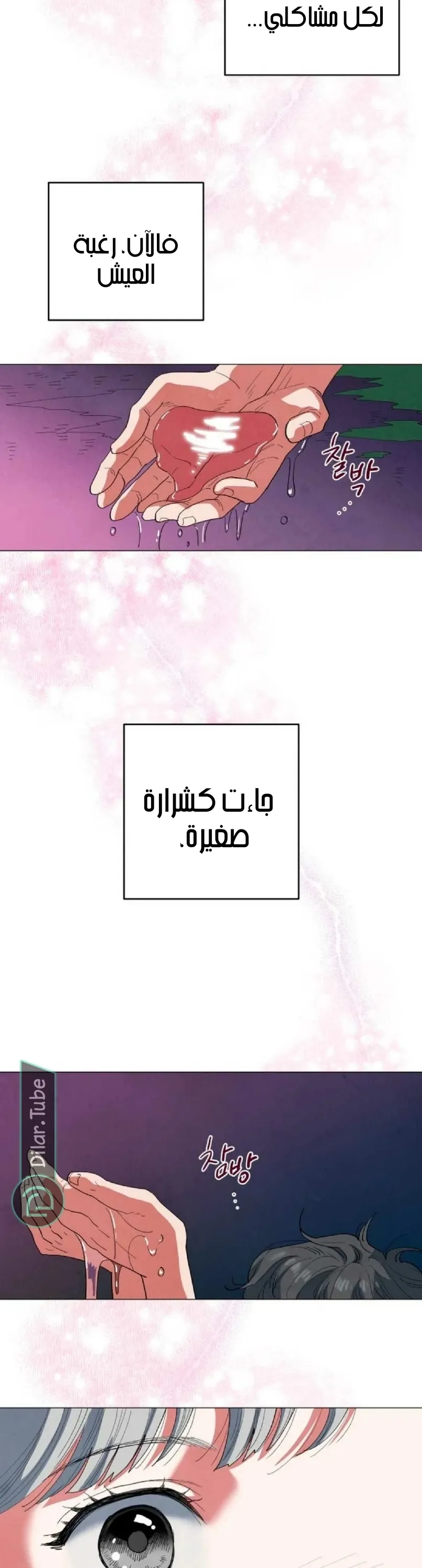 الصفحة 28