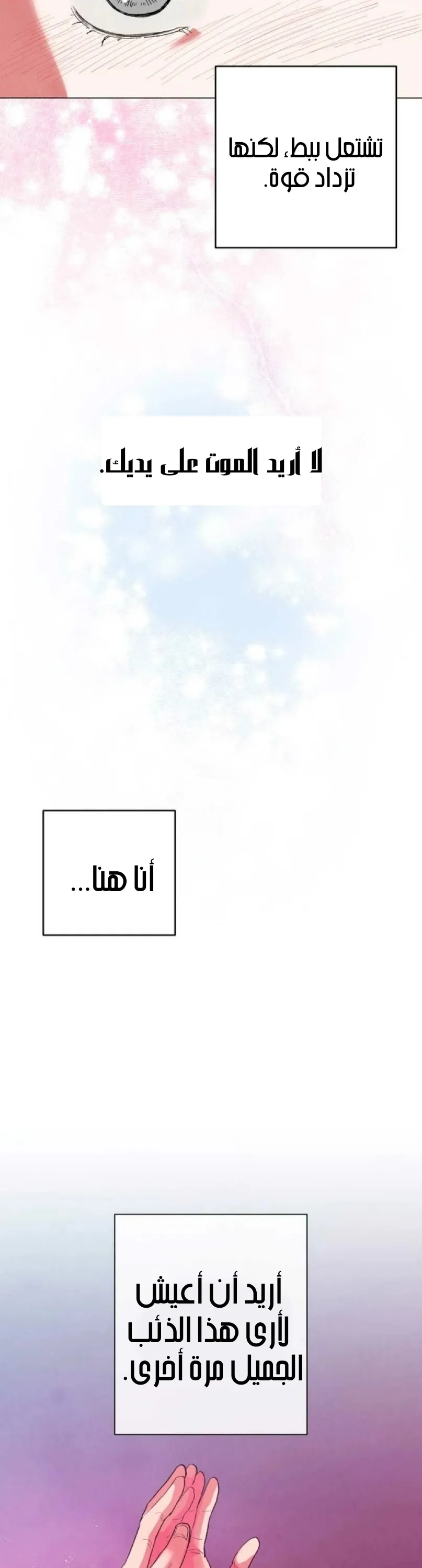 الصفحة 29