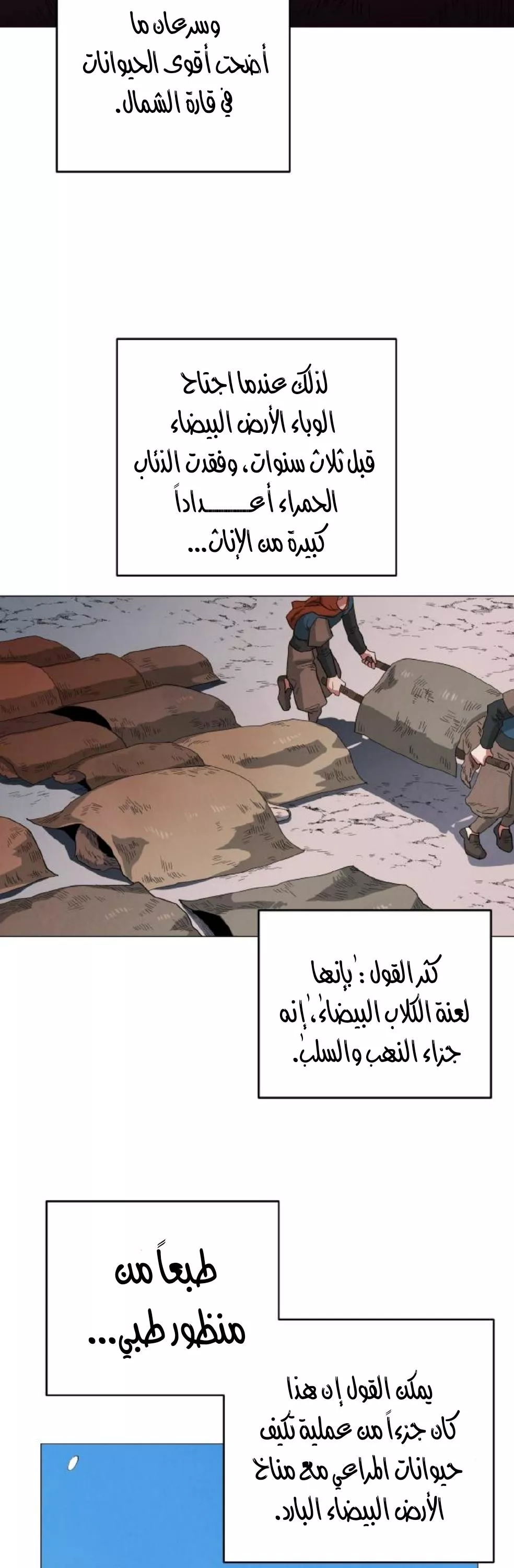 الصفحة 12