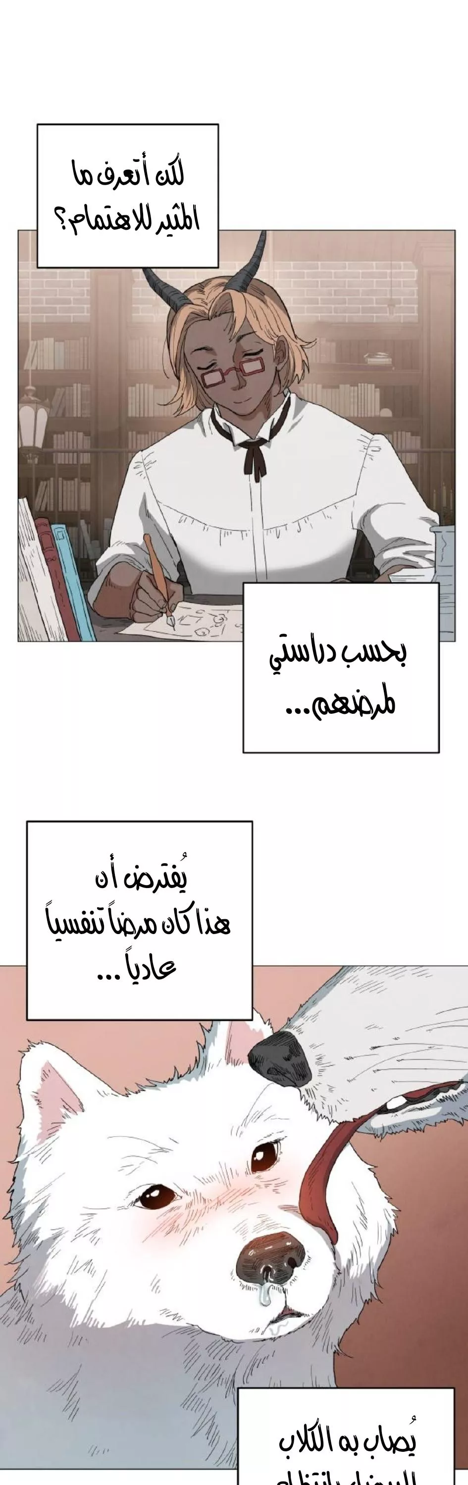 الصفحة 14
