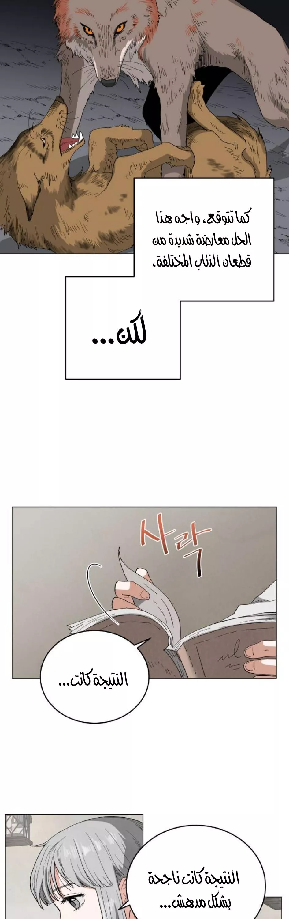 الصفحة 18
