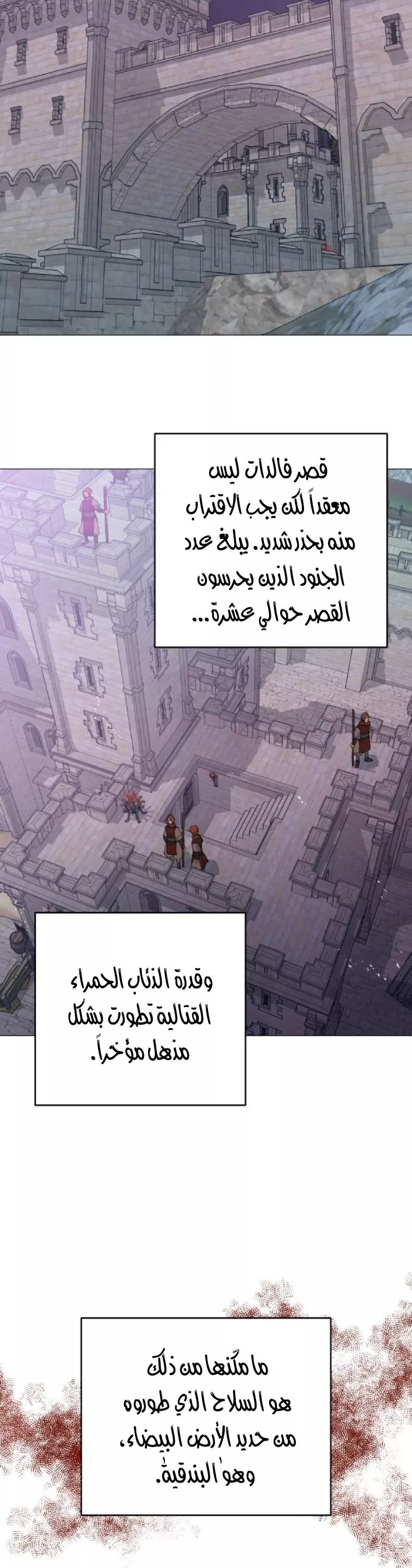 الصفحة 24