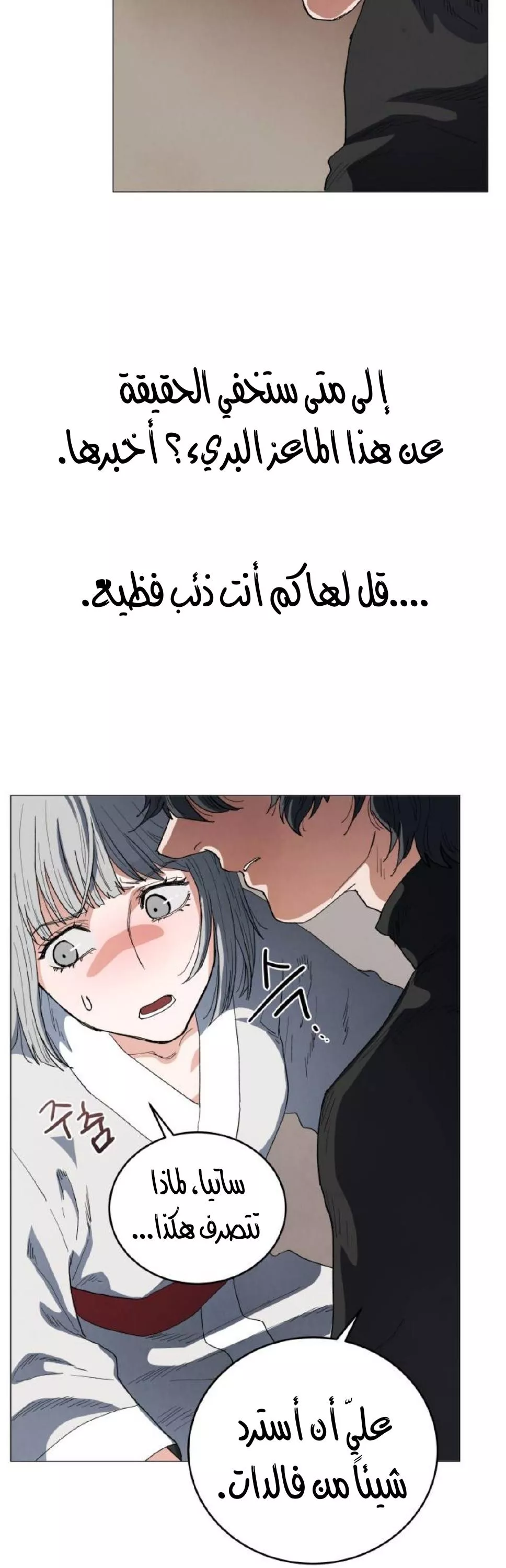 الصفحة 31