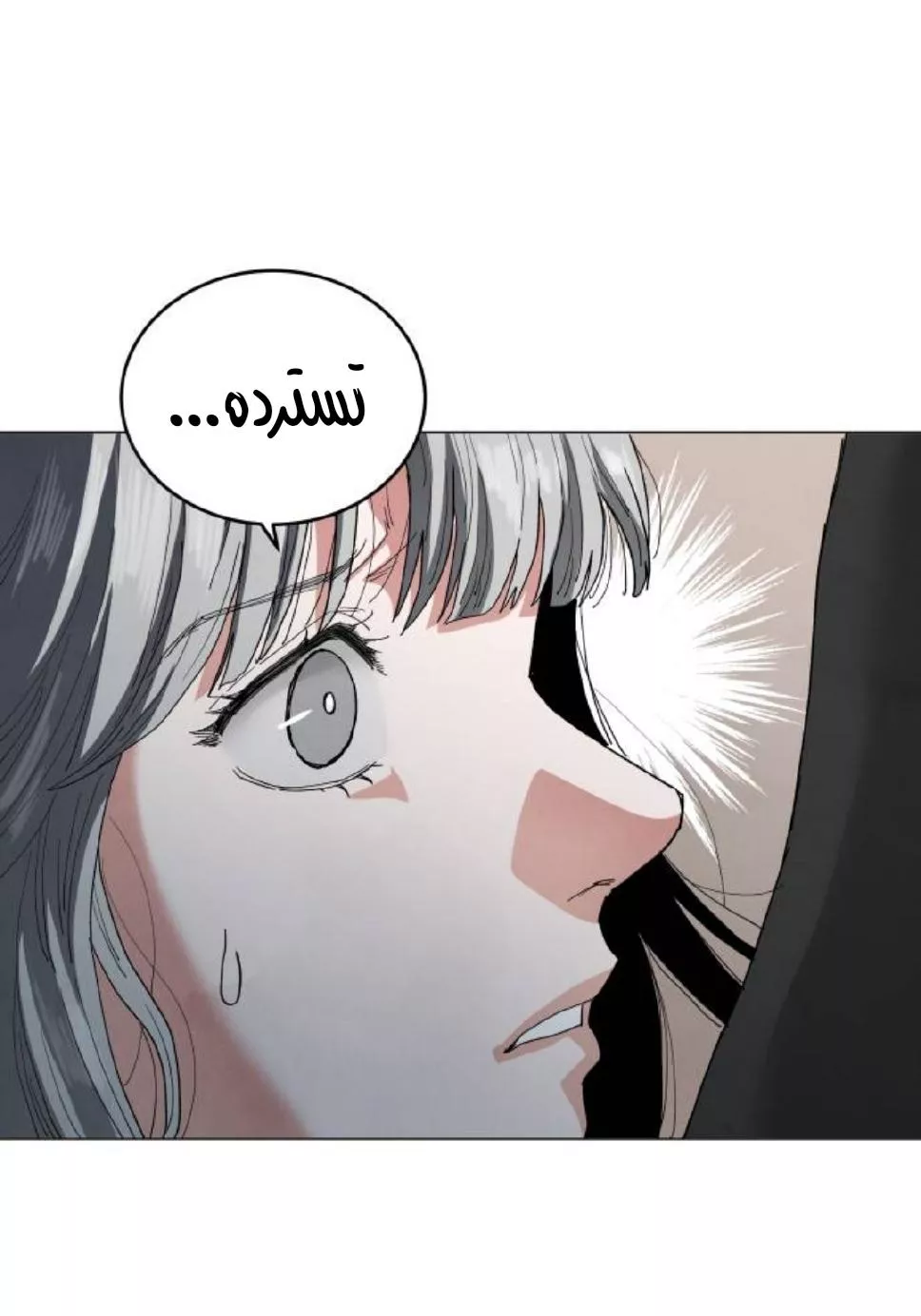 الصفحة 32