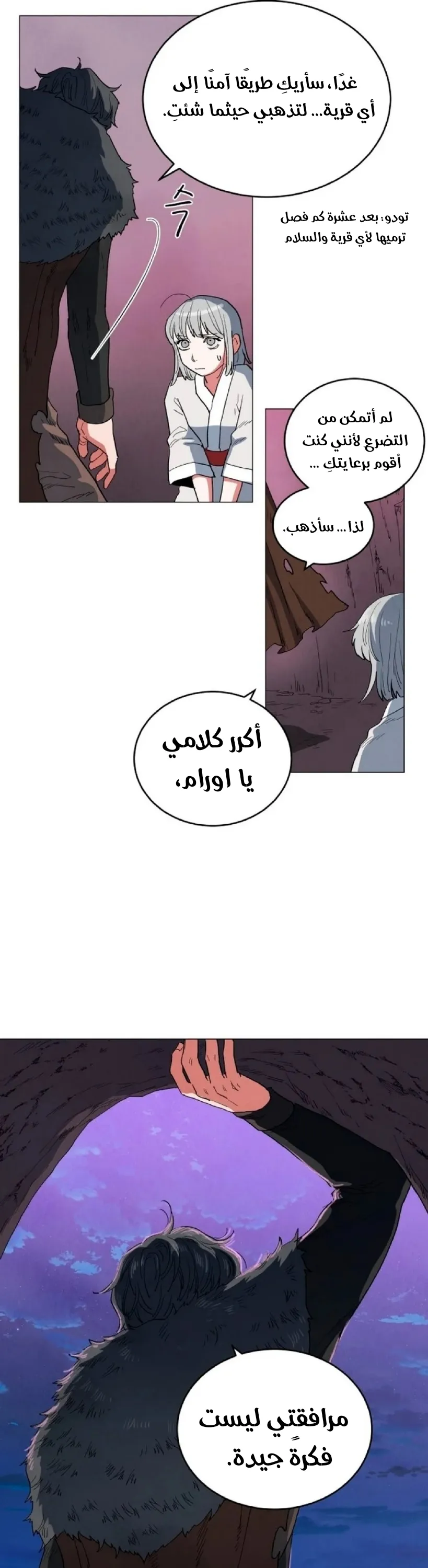 الصفحة 13