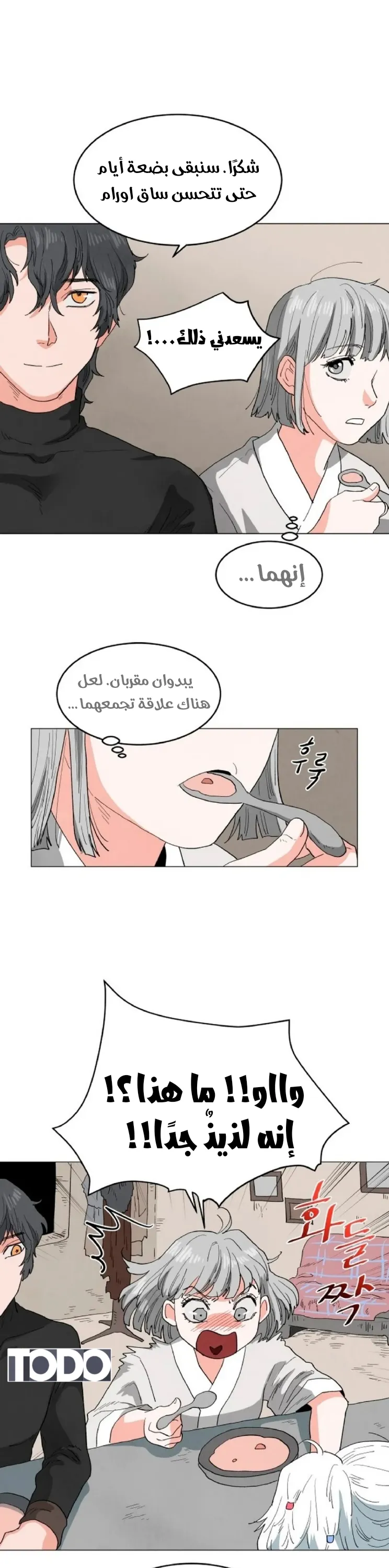 الصفحة 40