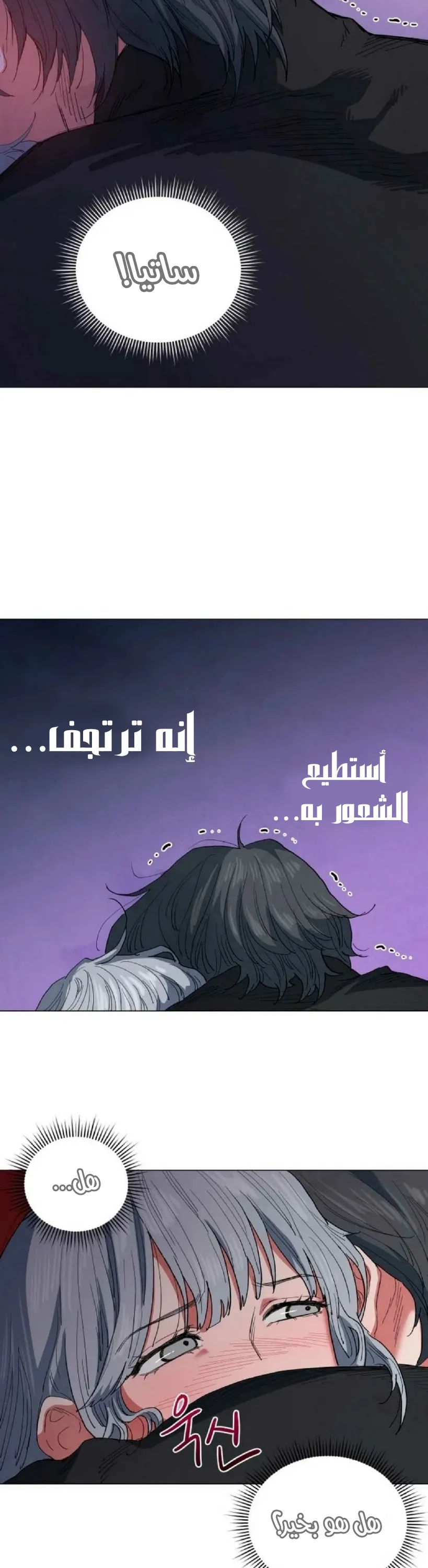 الصفحة 26