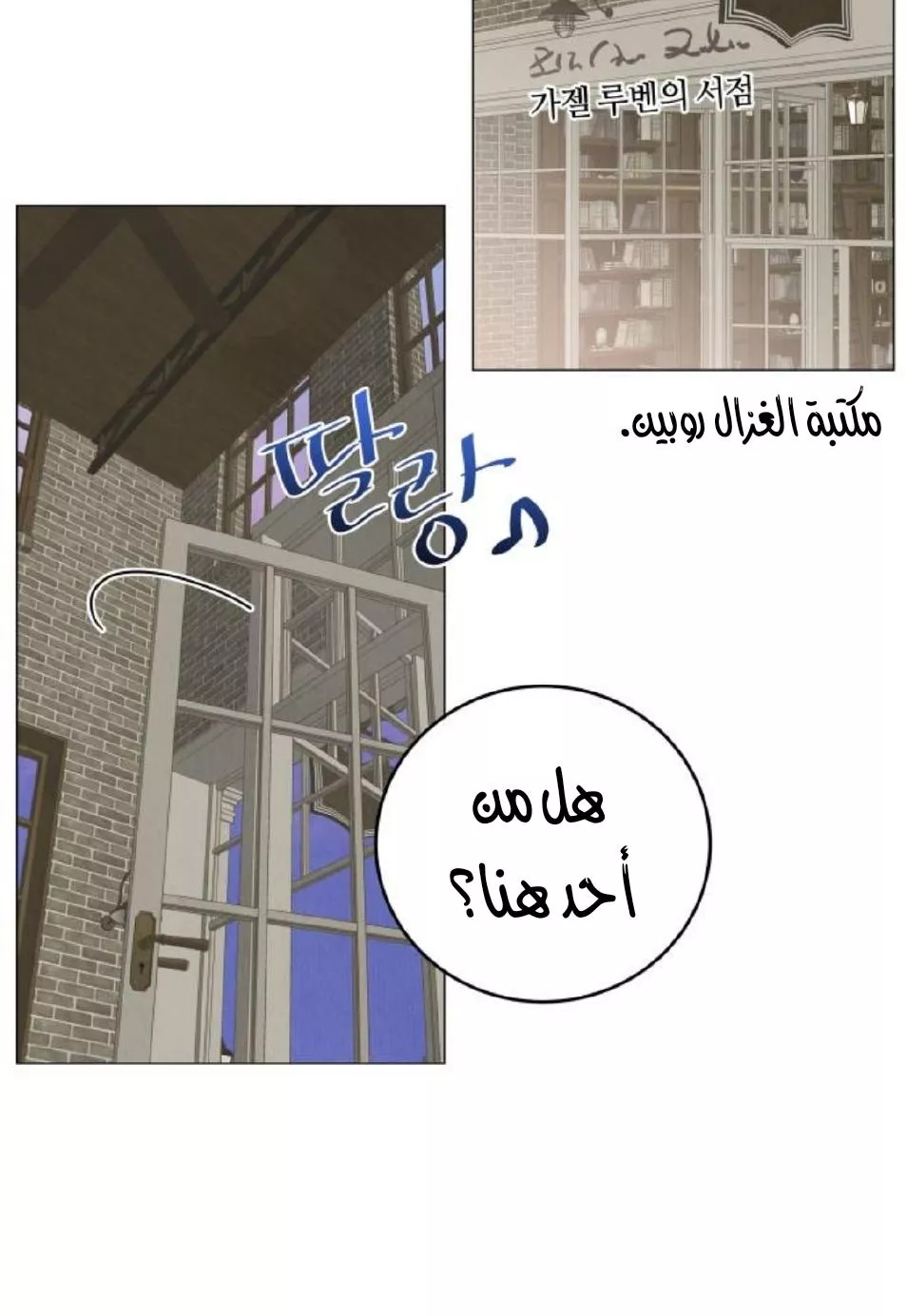 الصفحة 11