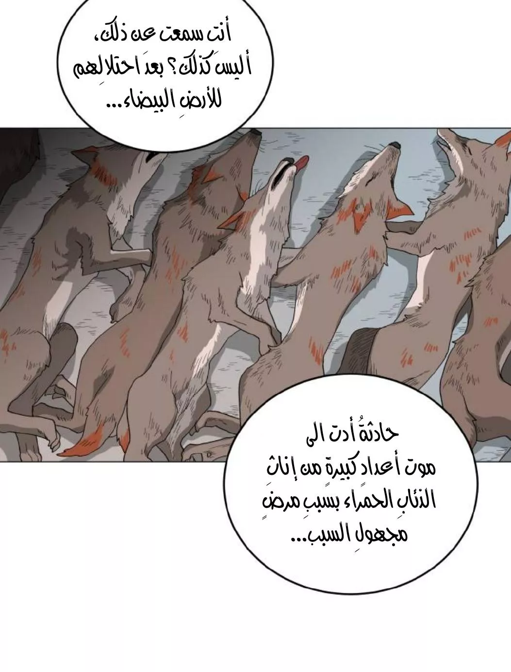 الصفحة 17