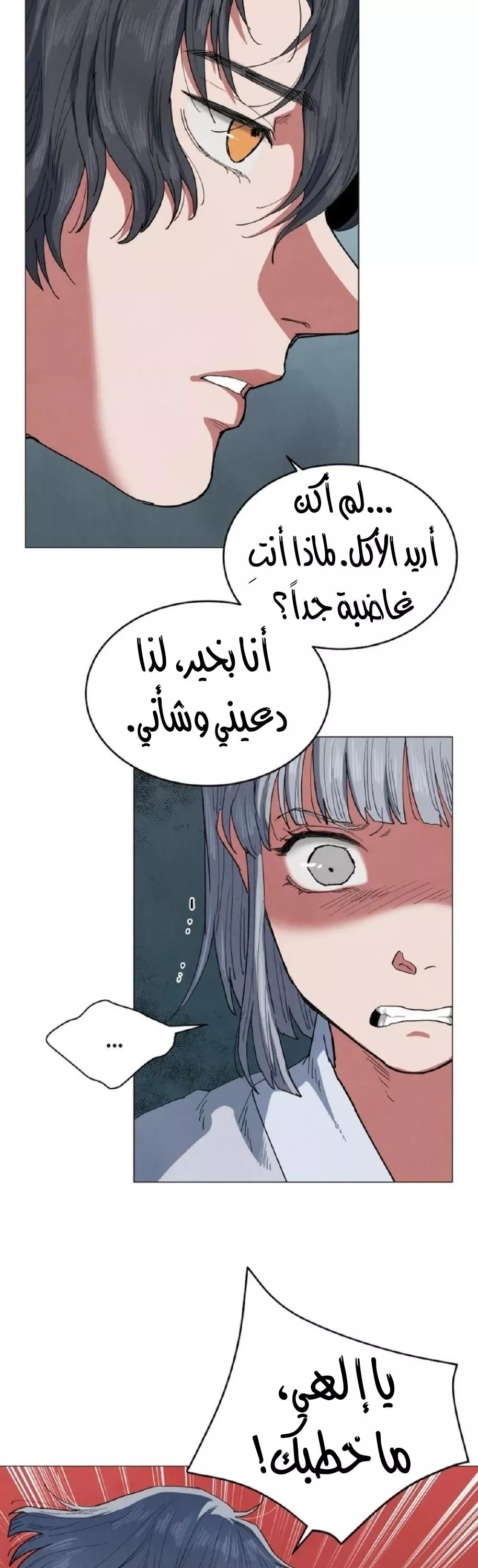 الصفحة 19