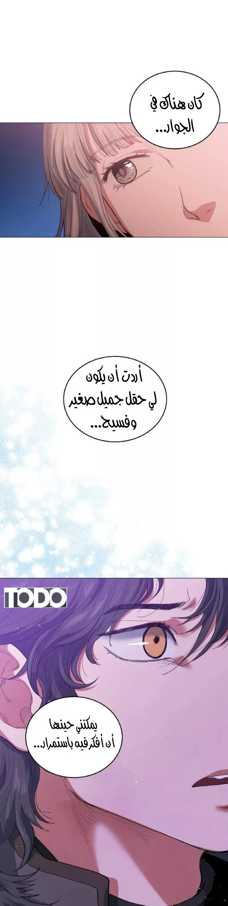 الصفحة 51