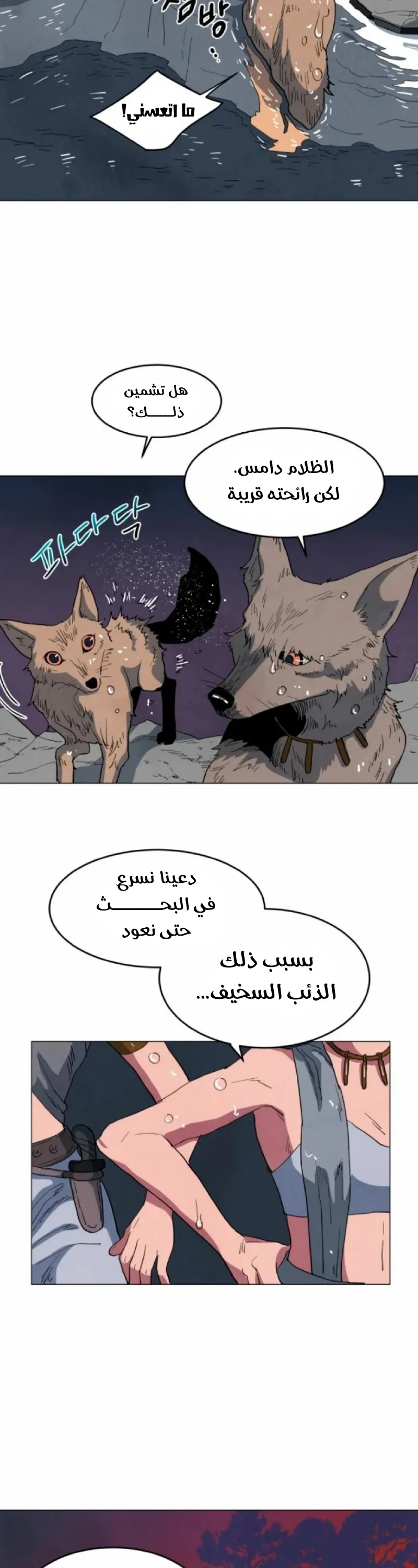 الصفحة 16