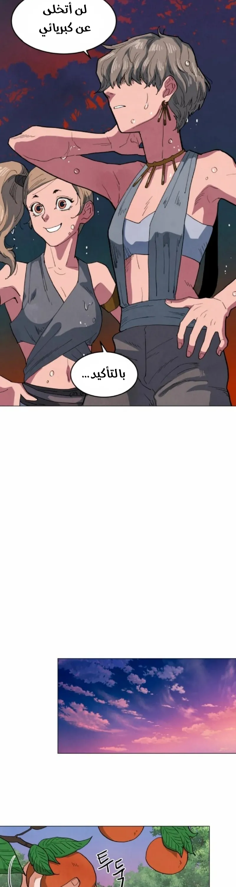 الصفحة 17