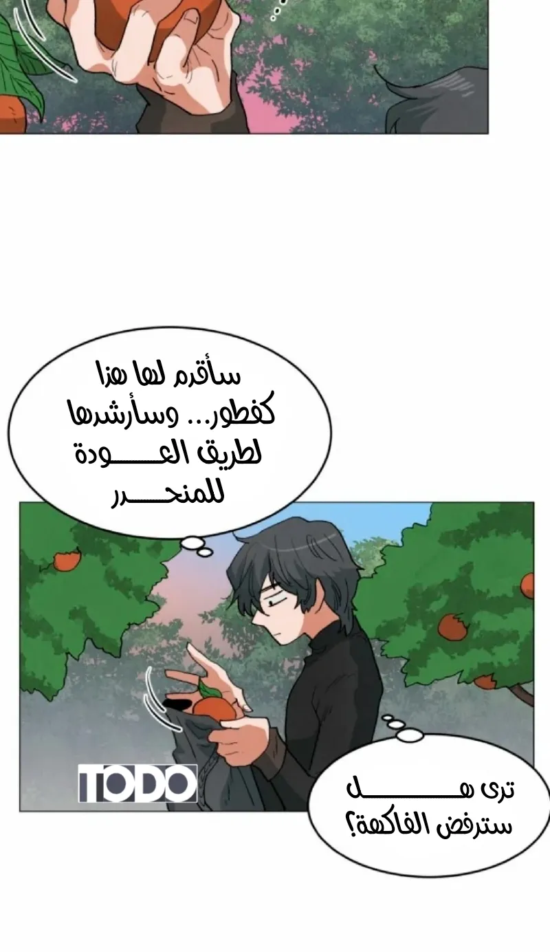 الصفحة 18
