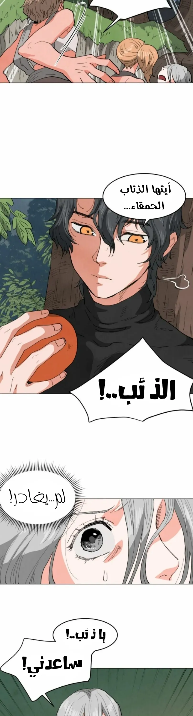 الصفحة 29