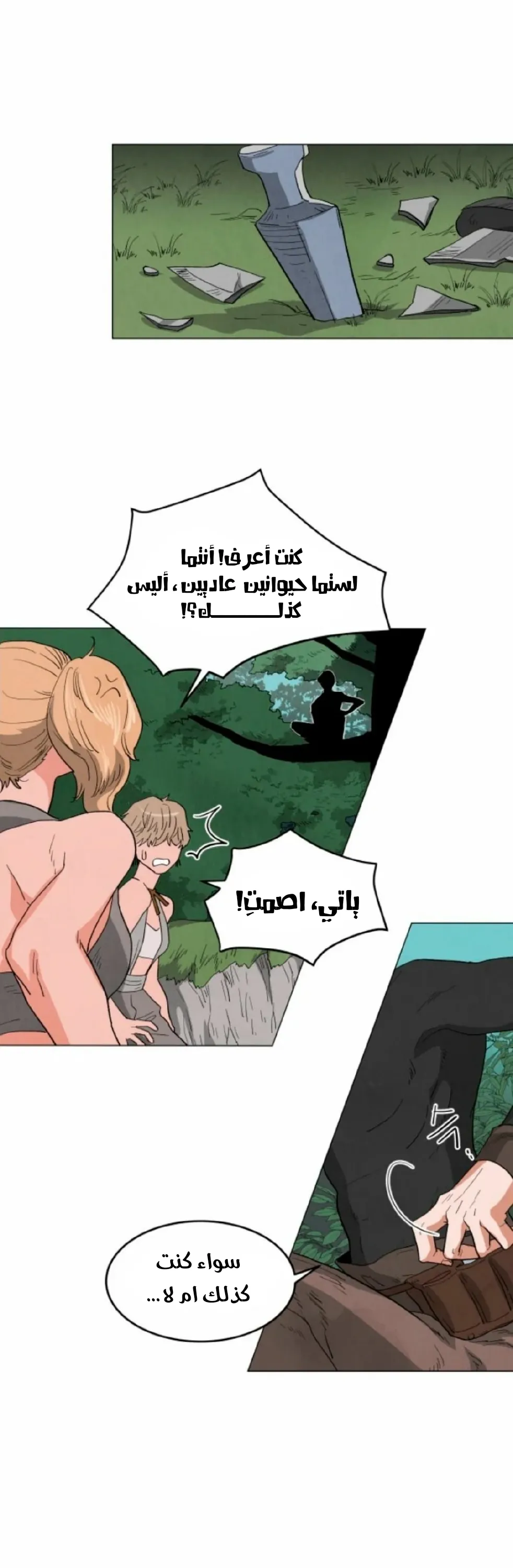 الصفحة 37