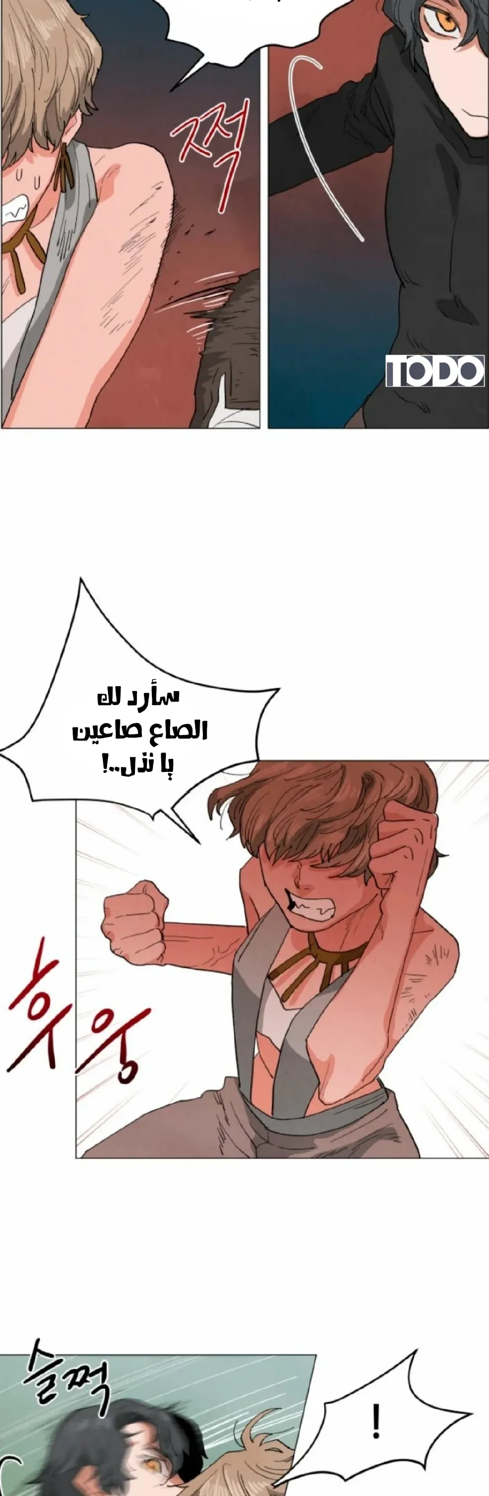 الصفحة 41