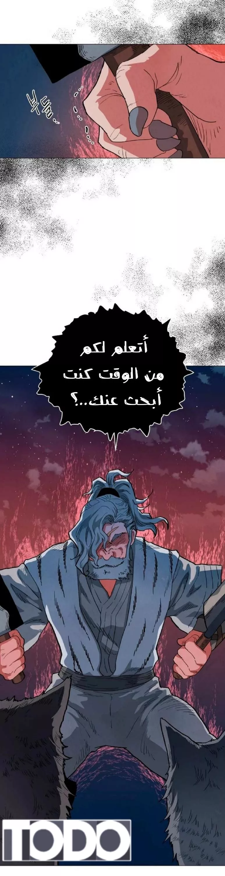 الصفحة 13