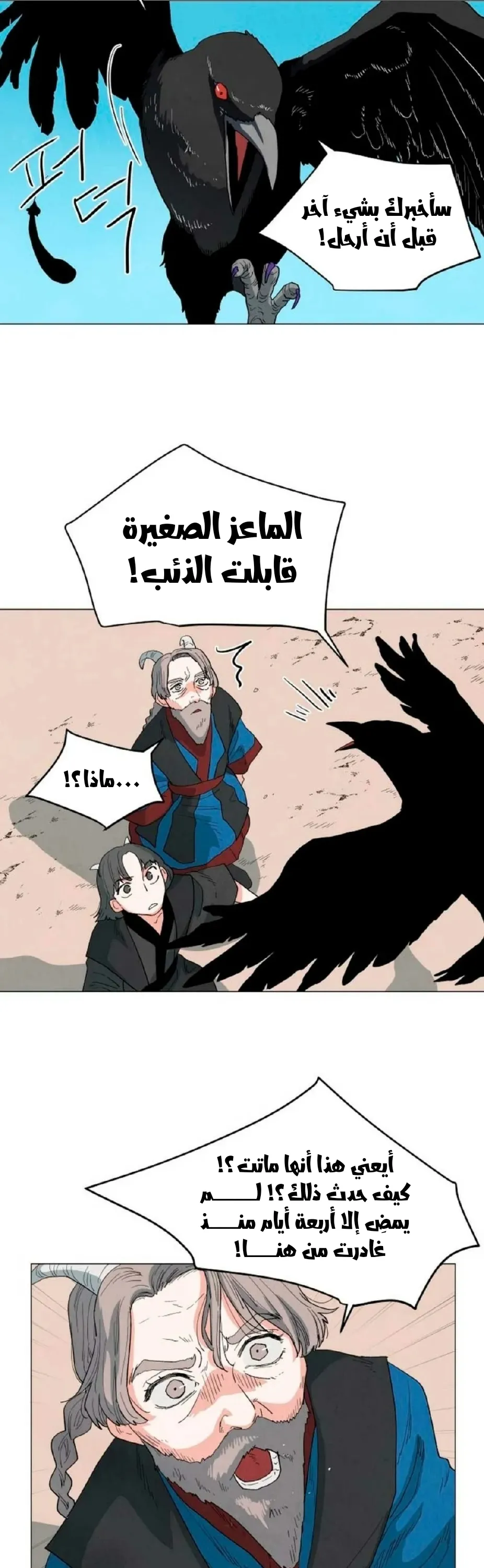 الصفحة 11