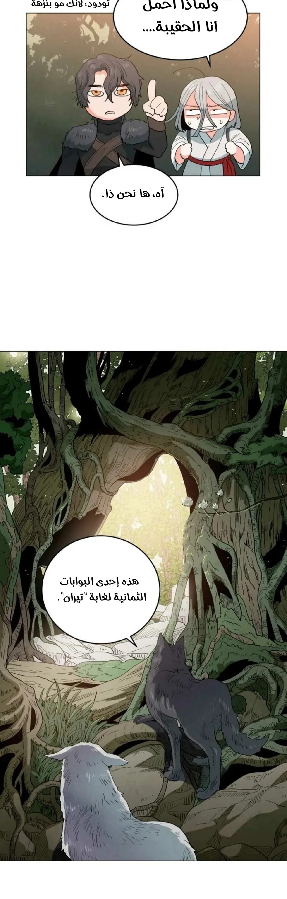 الصفحة 17