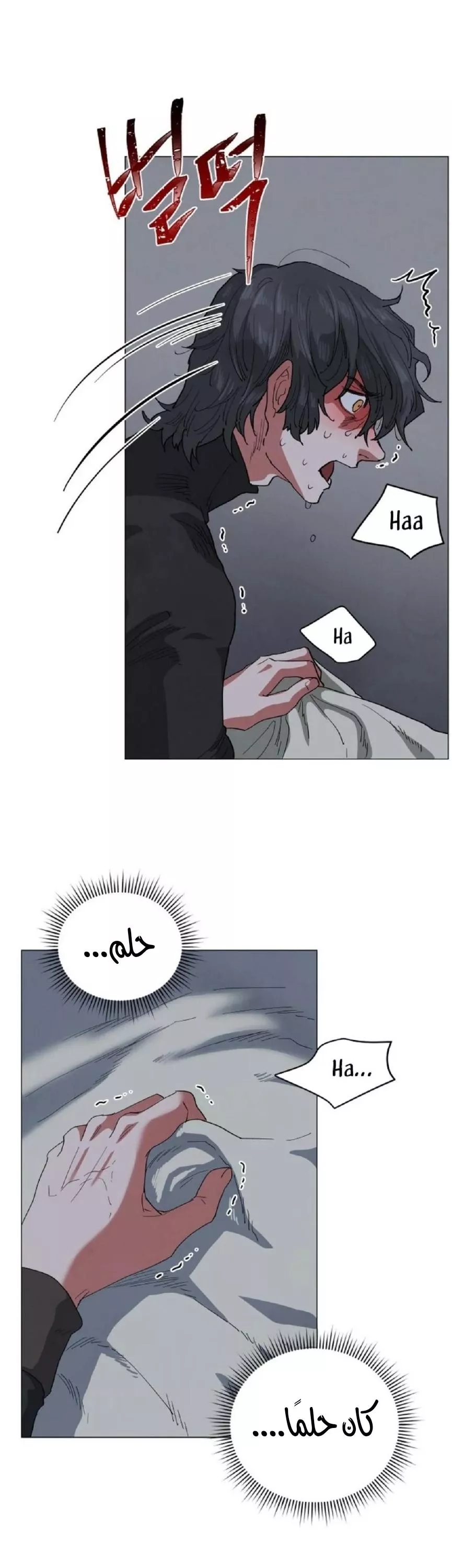 الصفحة 13