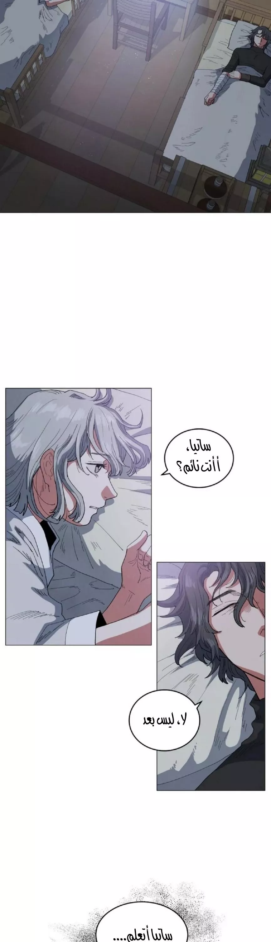 الصفحة 31