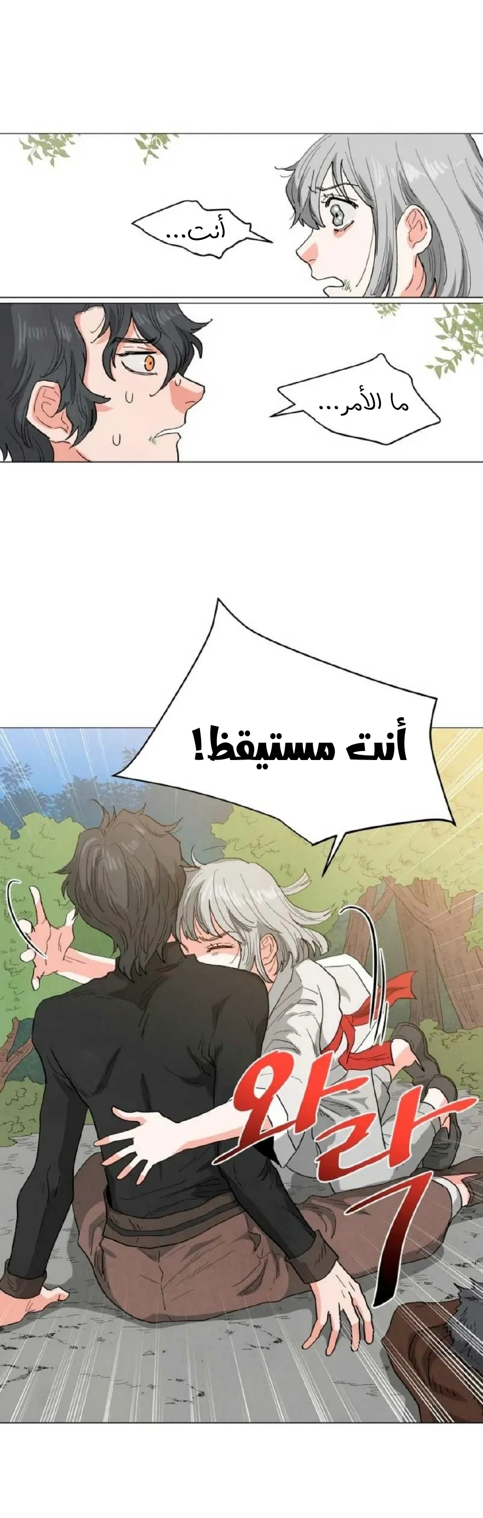 الصفحة 13