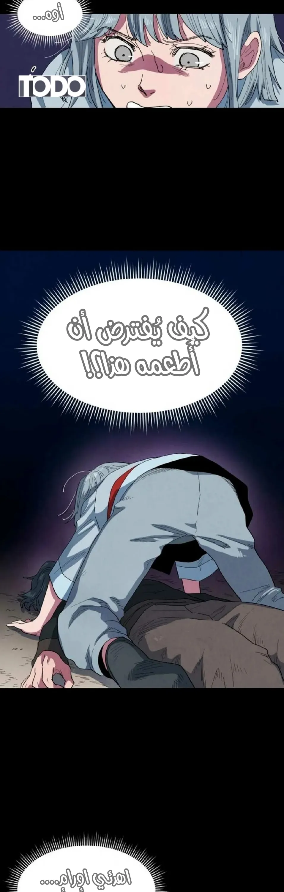 الصفحة 17