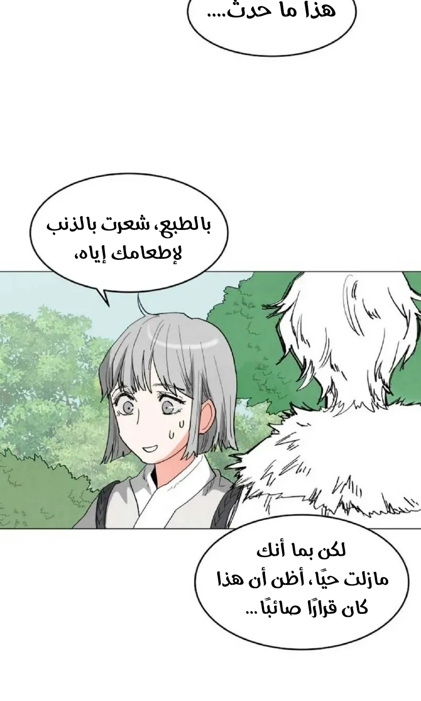 الصفحة 24