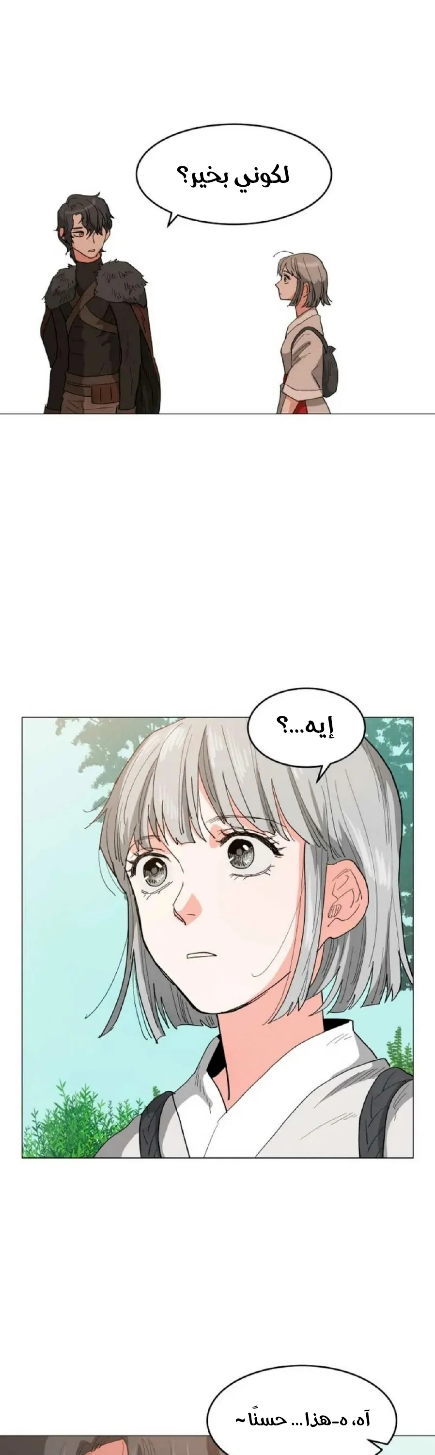 الصفحة 29
