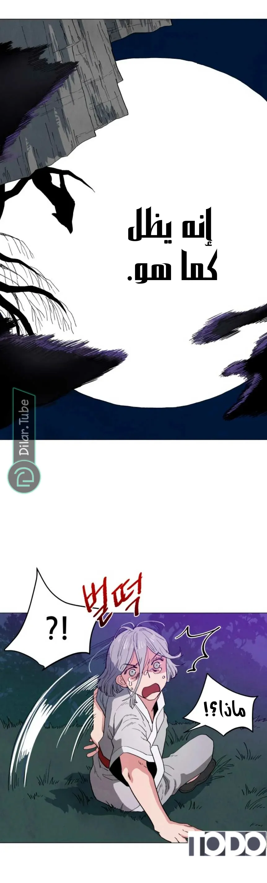 الصفحة 17