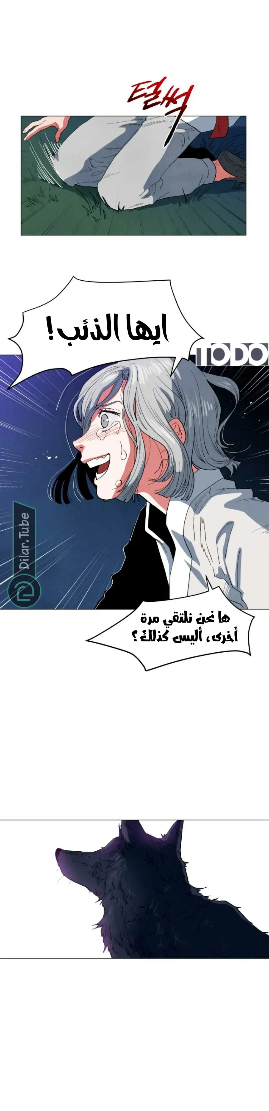 الصفحة 24