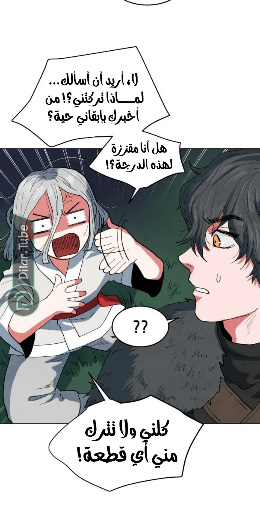 الصفحة 40
