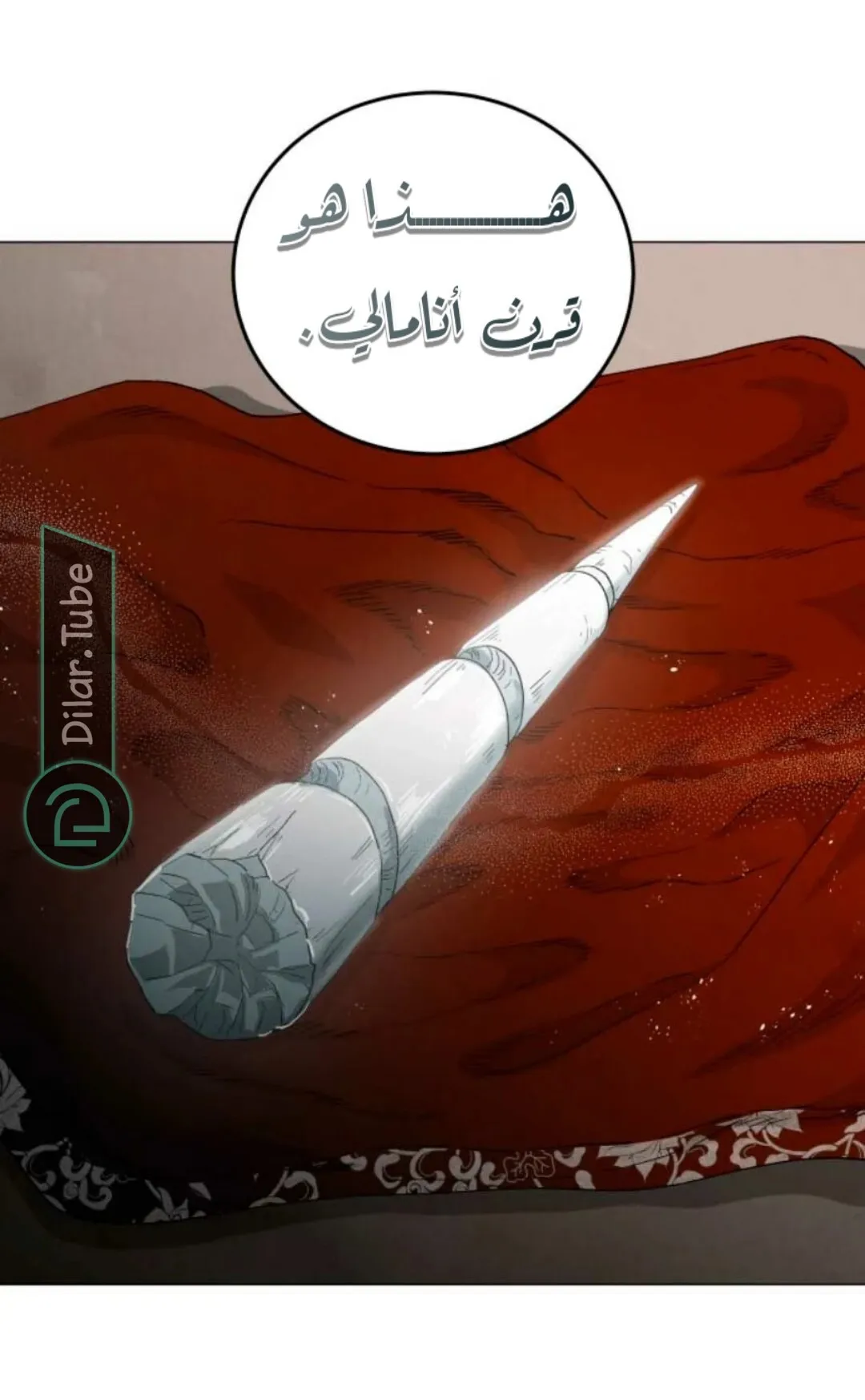 الصفحة 13