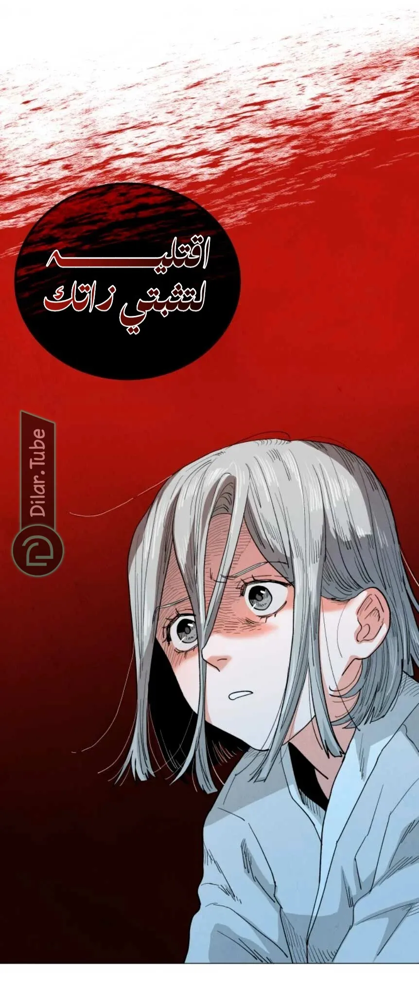 الصفحة 17