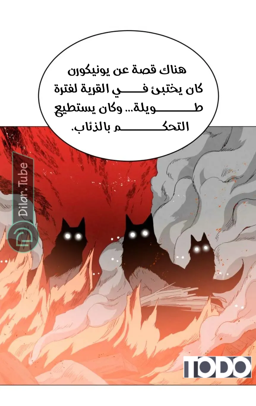 الصفحة 28
