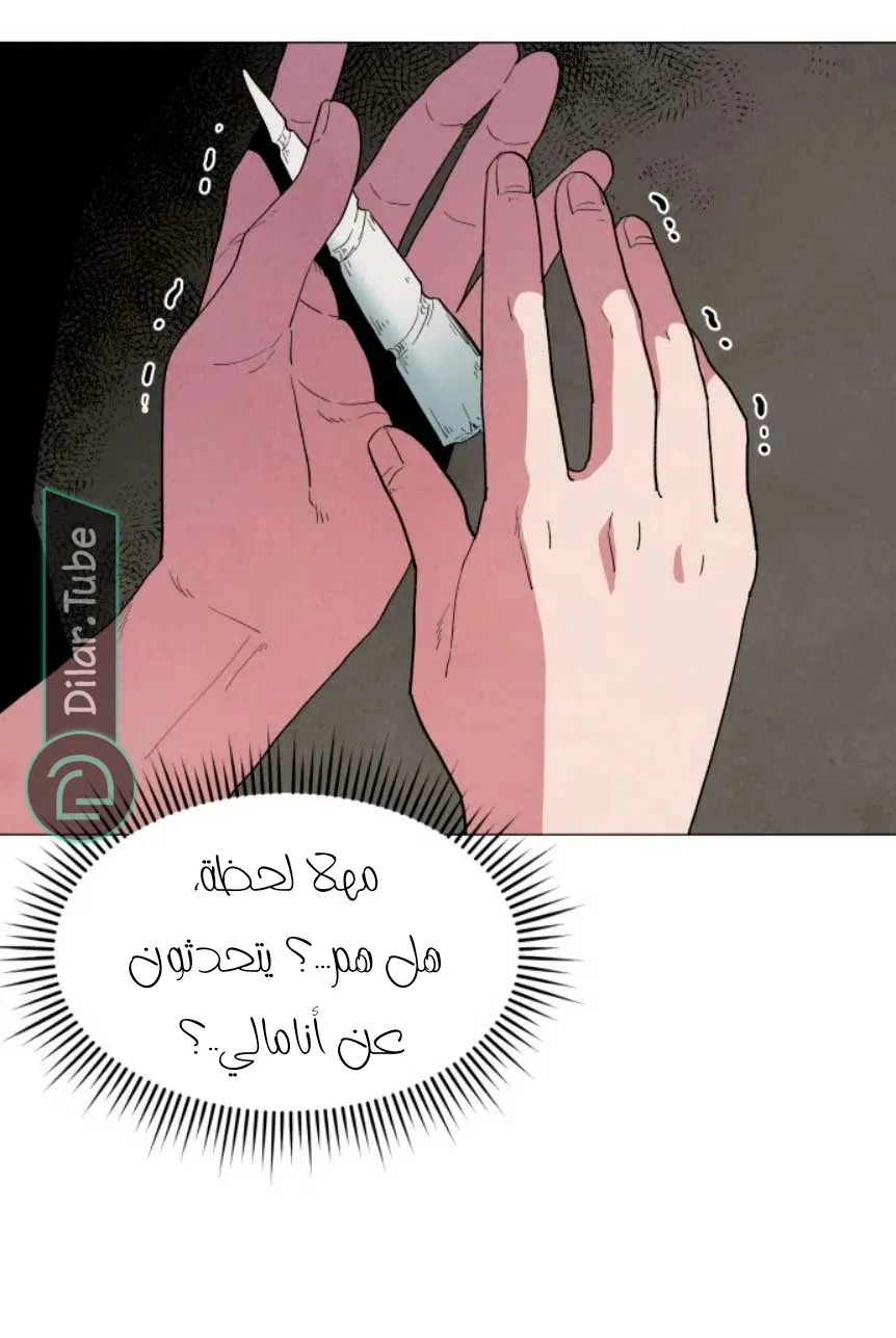 الصفحة 30