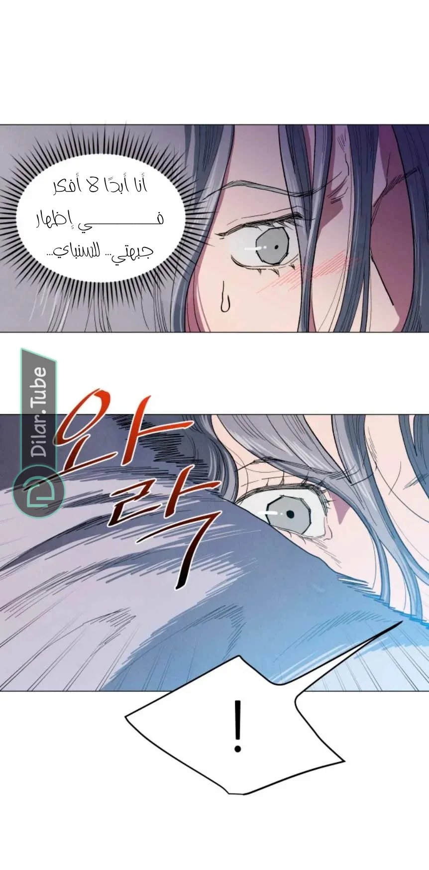 الصفحة 40