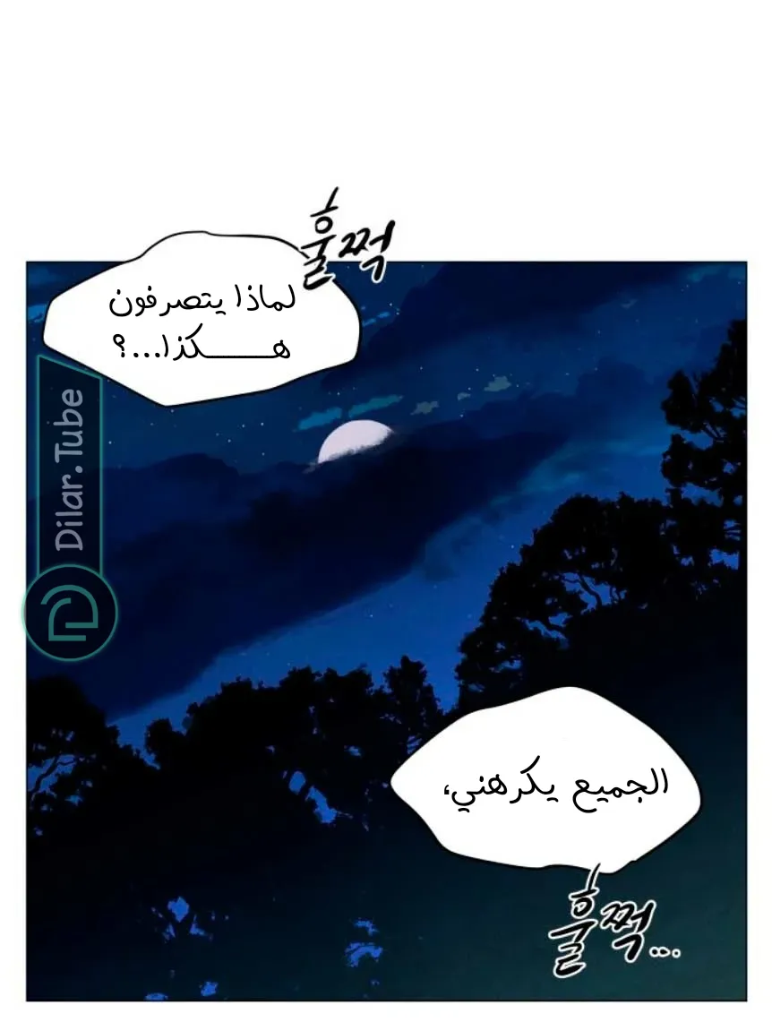 الصفحة 45
