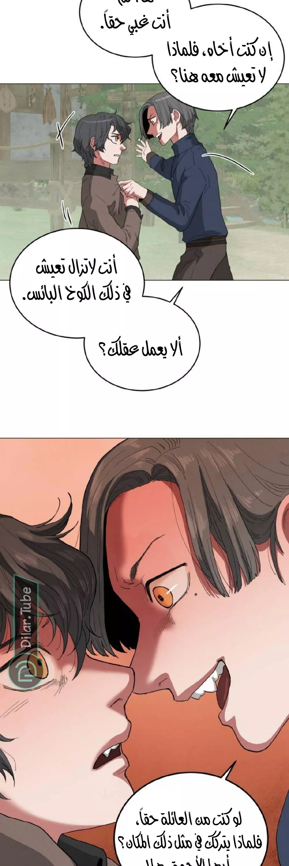الصفحة 11