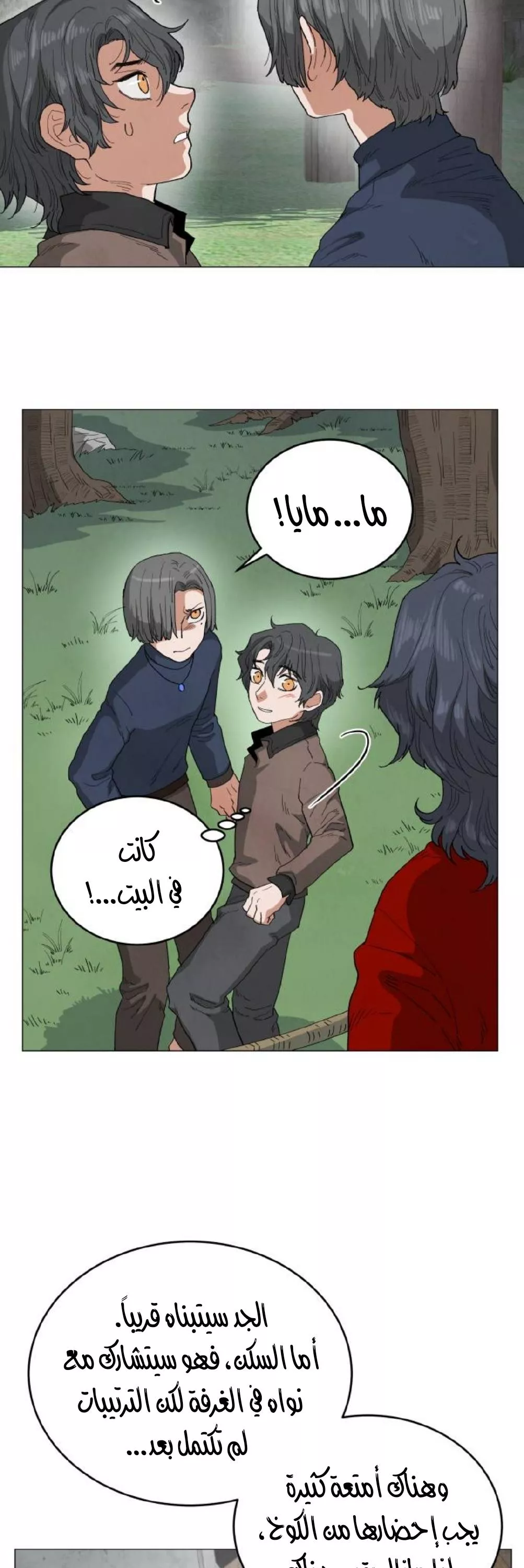 الصفحة 13