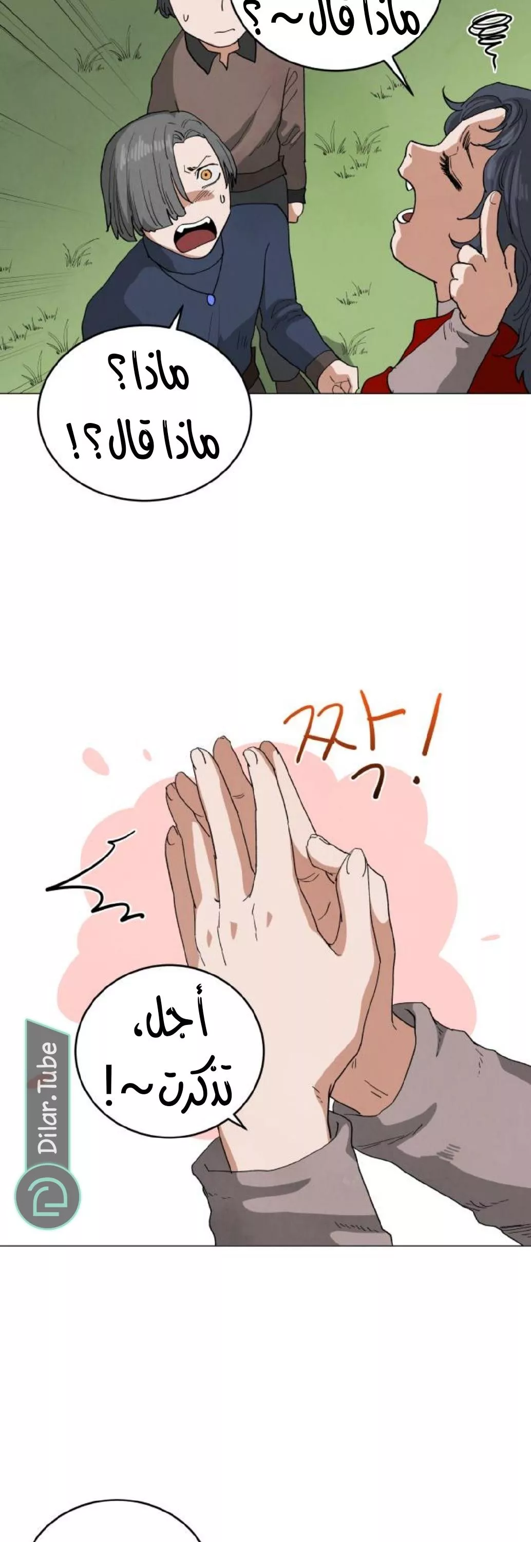 الصفحة 17
