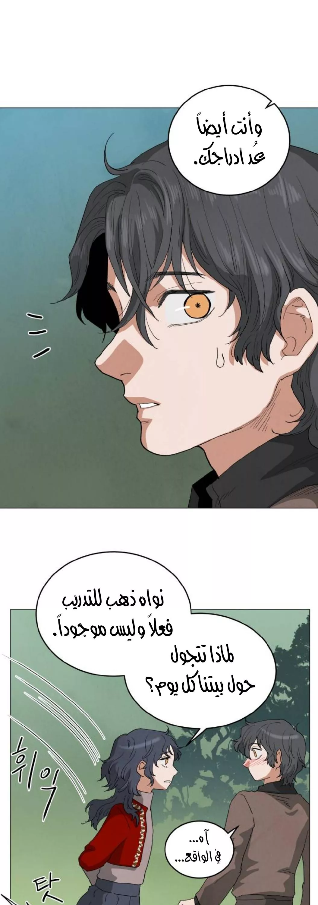 الصفحة 21