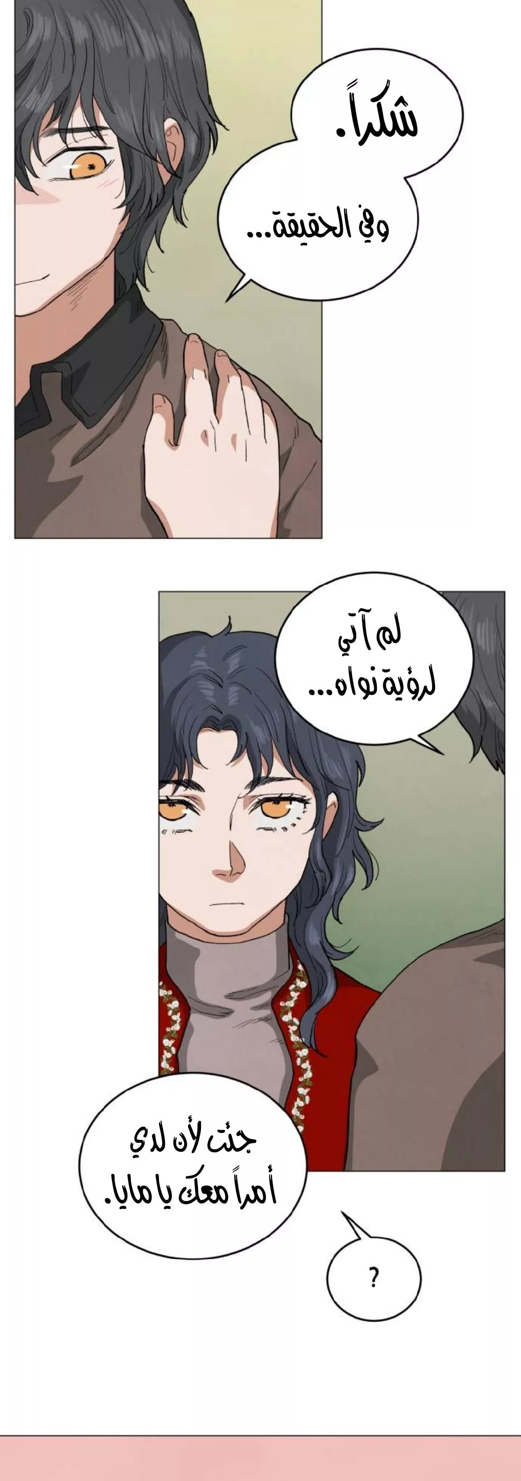 الصفحة 25
