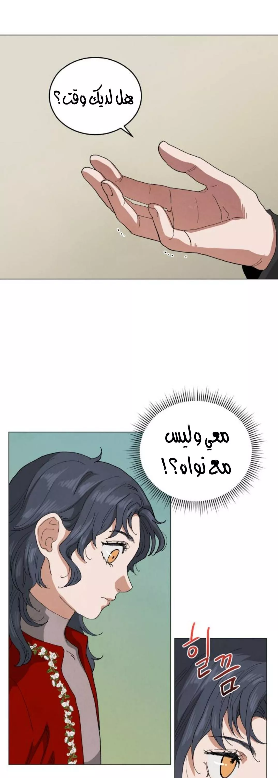 الصفحة 27