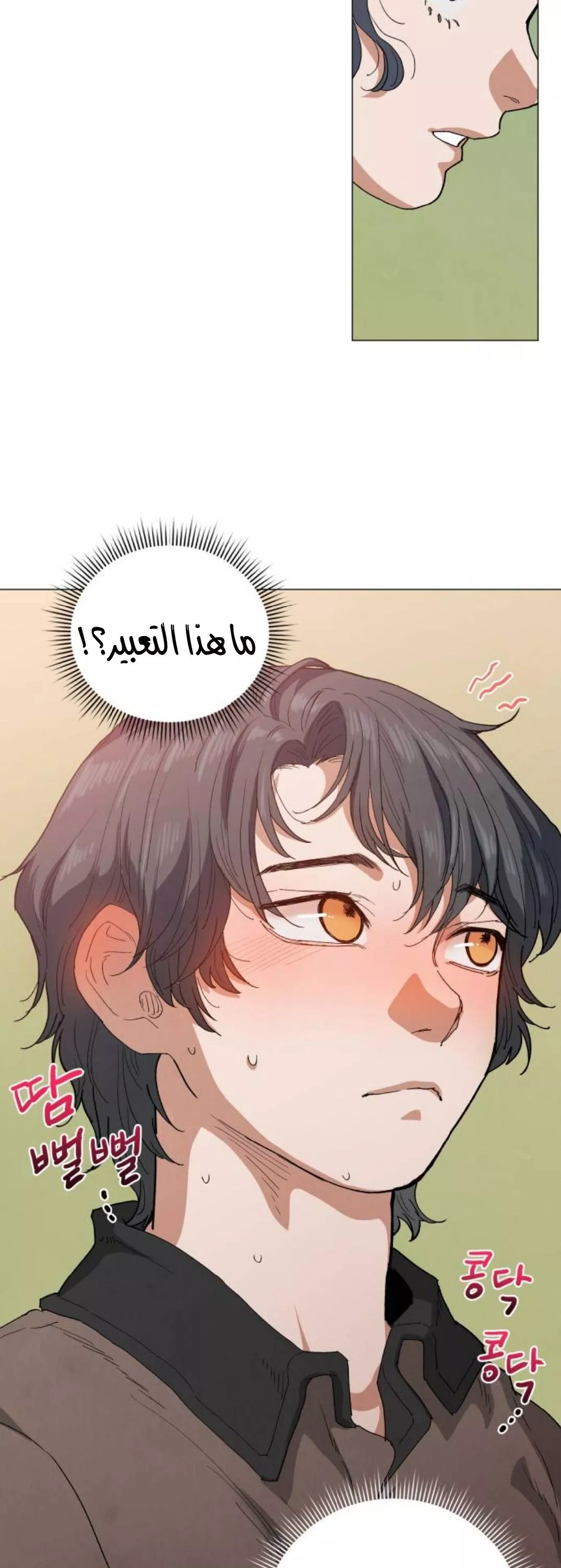 الصفحة 28