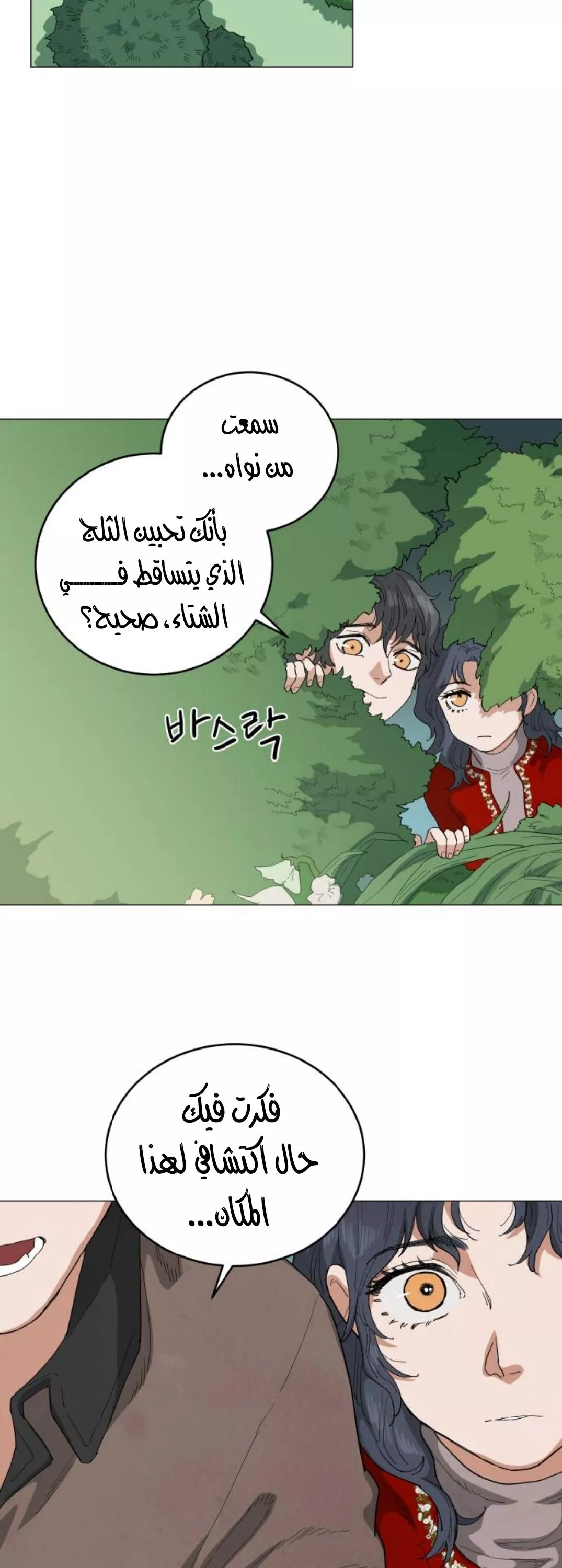 الصفحة 31
