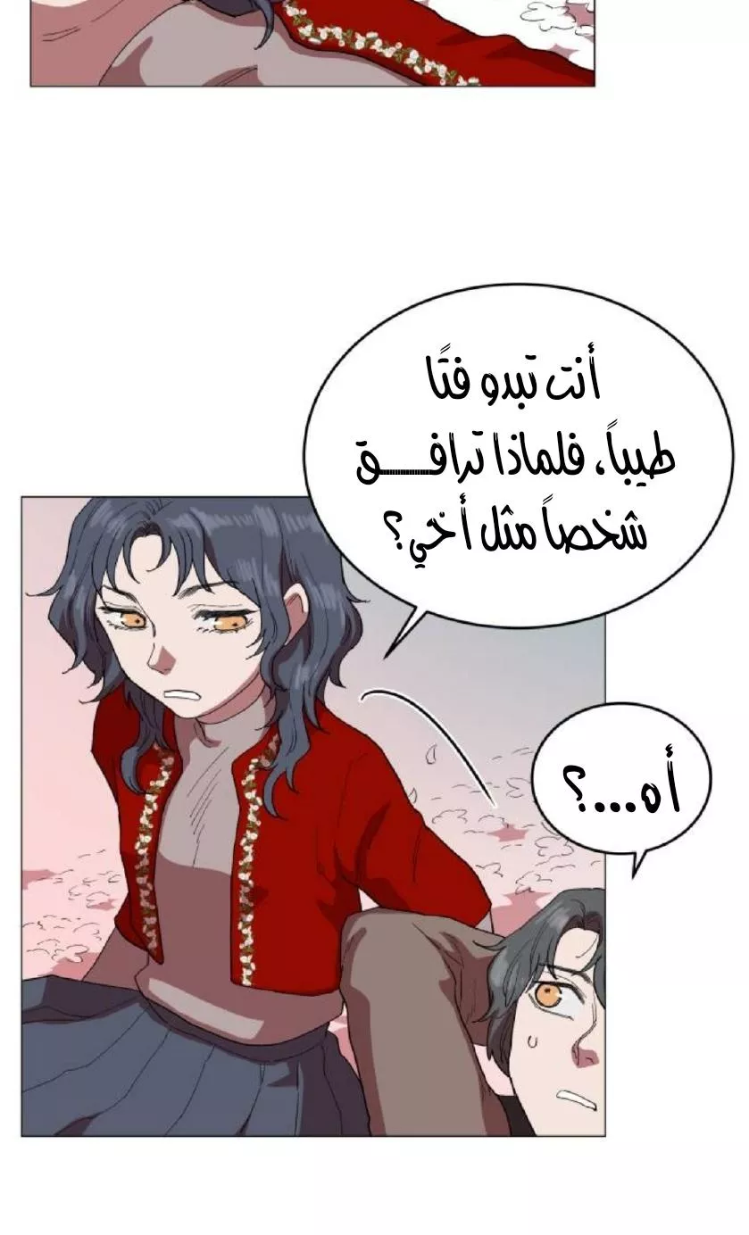 الصفحة 38