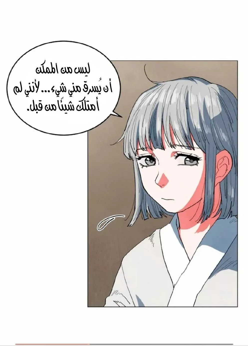 الصفحة 13